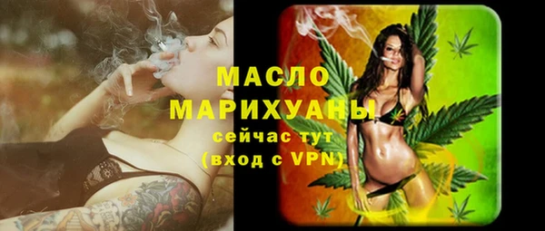 крисы Елабуга
