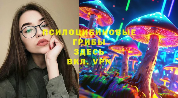 ПСИЛОЦИБИНОВЫЕ ГРИБЫ Ельня