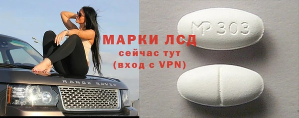 крисы Елабуга