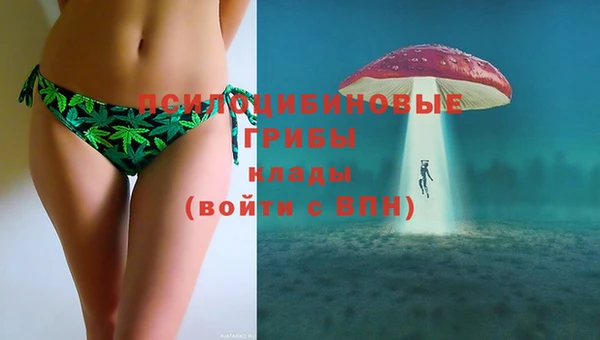 mdpv Елизово