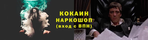 крисы Елабуга