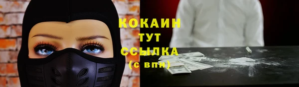 mdpv Елизово