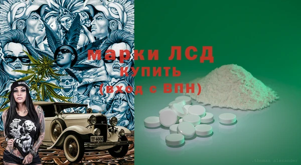 ПСИЛОЦИБИНОВЫЕ ГРИБЫ Ельня