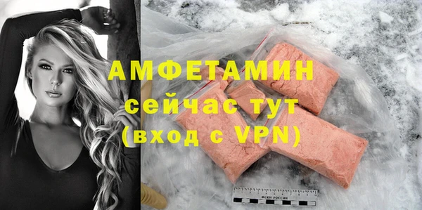 ПСИЛОЦИБИНОВЫЕ ГРИБЫ Ельня