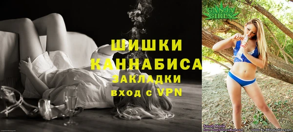 ПСИЛОЦИБИНОВЫЕ ГРИБЫ Ельня