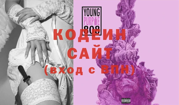 крисы Елабуга