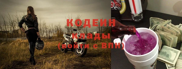 ПСИЛОЦИБИНОВЫЕ ГРИБЫ Ельня
