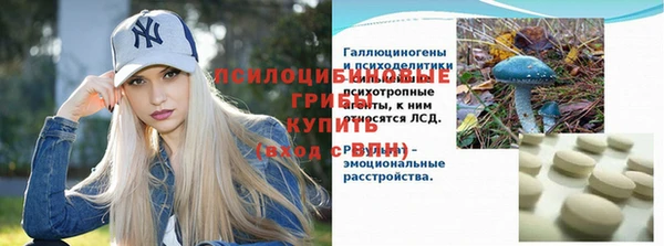 крисы Елабуга