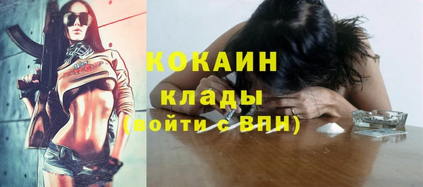 ПСИЛОЦИБИНОВЫЕ ГРИБЫ Ельня